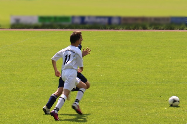 稳固后场的 稳固后场的