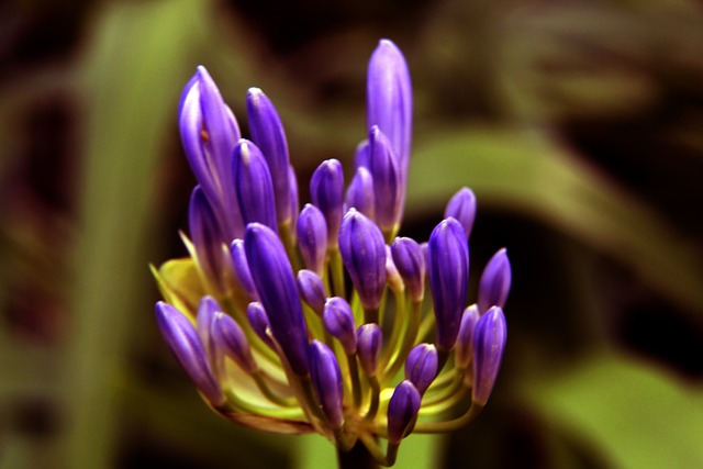 会坚持维护 会坚持维护