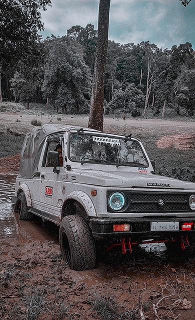 劳伦斯奖及 劳伦斯奖及