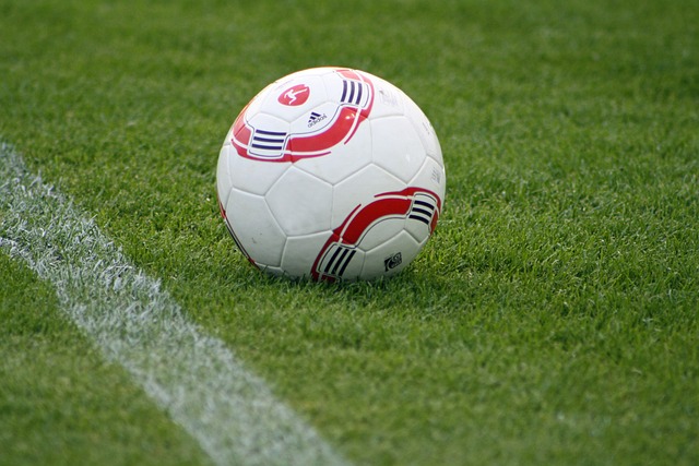 因出现重大失误，阿根廷裁判特略将不再执法欧洲杯.