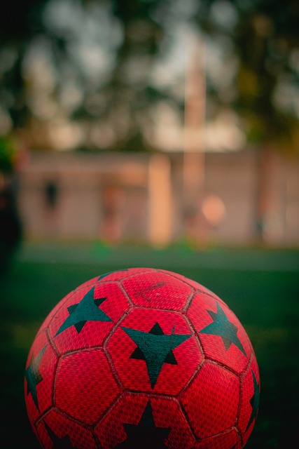 界排名前列 界排名前列