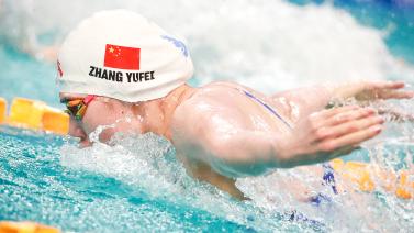 坚持与合作 坚持与合作