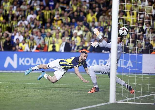 分析人员能 分析人员能