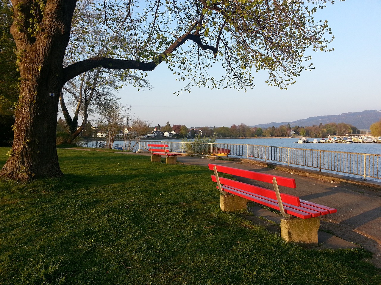 入的数据分 入的数据分